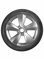 Ikon Character Snow 2 (Nordman RS2) 205/55 R16 94R 