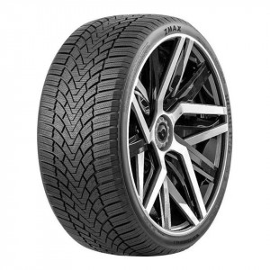 Купить  Winterhawke I 225/55 R19 99H  в Волгограде