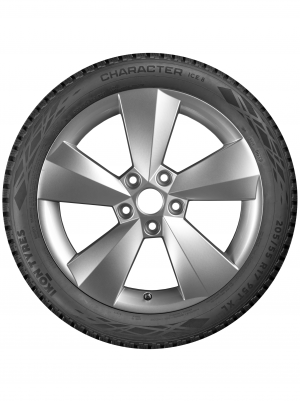 Купить Ikon Character Ice 8 (Nordman 8) 225/45 R19 96T шип в Волгограде