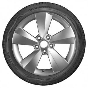 Купить Ikon (Nokian Tyres) Ikon Character Snow 2 185/65 R14 90R  в Волгограде