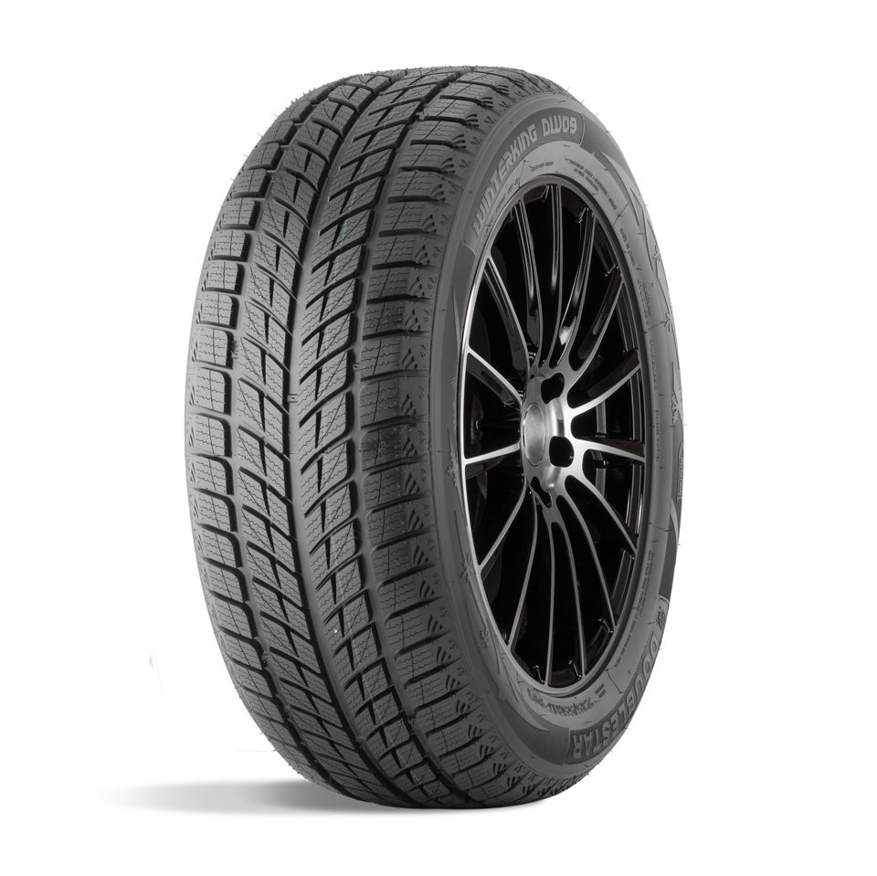 Купить  DW09 275/40 R20 106V  в Волгограде