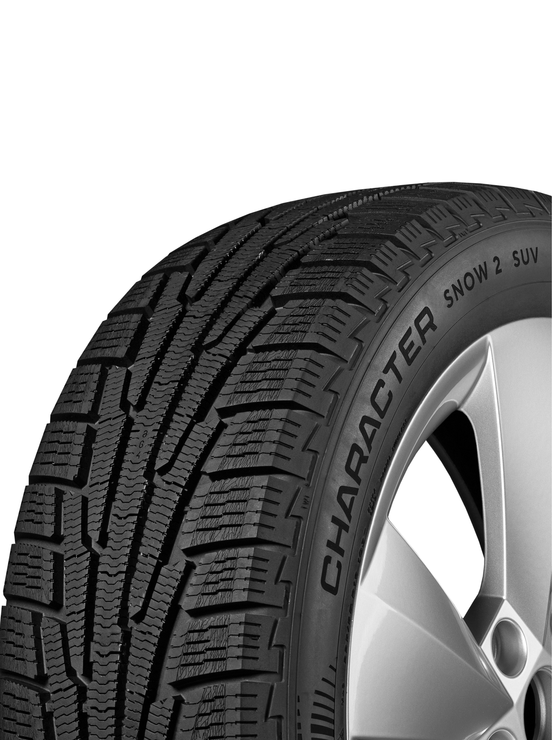 Купить Ikon Character Snow 2 SUV (Nordman RS2 SUV) 235/55 R19 105T  в Волгограде